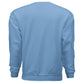 CAROLINA BLUE - BACK