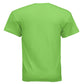 LIME - G200 - BACK