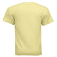 CORNSILK - G200 - BACK